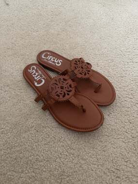 Circus by Sam Edelman Canyon Thong Sandal Size 10M Brown